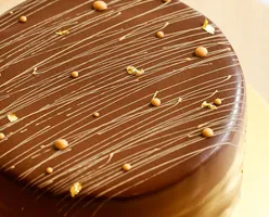 Top 10 Chocolate Cakes in Singapore 2020