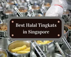 Best Halal Tingkats in Singapore