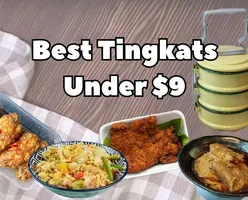 Best Tingkats Under $9