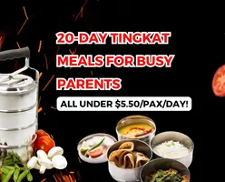 20-Day Tingkat Meals for Busy Parents-All Under $5.50/pax/day!