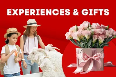 Experiences & Gifts